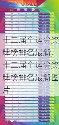 十二届全运会奖牌榜排名最新,十二届全运会奖牌榜排名最新图片