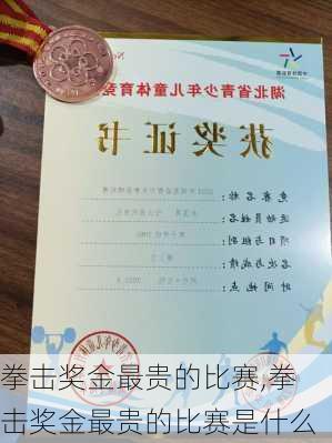 拳击奖金最贵的比赛,拳击奖金最贵的比赛是什么
