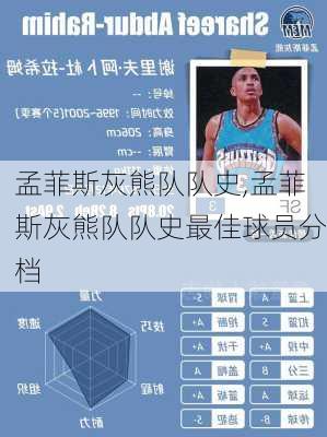 孟菲斯灰熊队队史,孟菲斯灰熊队队史最佳球员分档