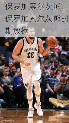 保罗加索尔灰熊,保罗加索尔灰熊时期数据