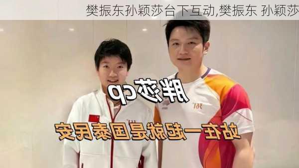 樊振东孙颖莎台下互动,樊振东 孙颖莎