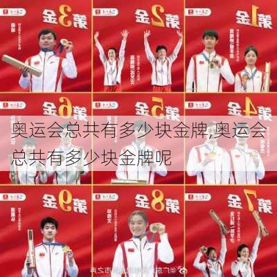 奥运会总共有多少块金牌,奥运会总共有多少块金牌呢