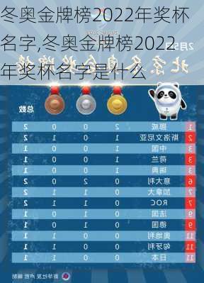 冬奥金牌榜2022年奖杯名字,冬奥金牌榜2022年奖杯名字是什么