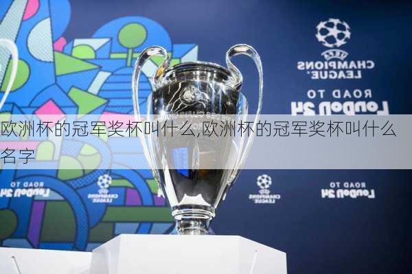 欧洲杯的冠军奖杯叫什么,欧洲杯的冠军奖杯叫什么名字