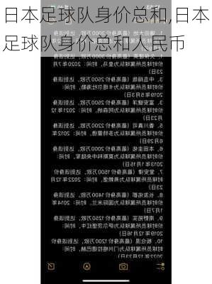 日本足球队身价总和,日本足球队身价总和人民币