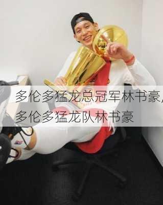 多伦多猛龙总冠军林书豪,多伦多猛龙队林书豪