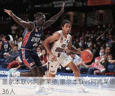 墨尔本联vs阿德莱德,墨尔本联vs阿德莱德36人