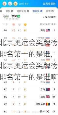 北京奥运会奖牌榜排名第一的是谁,北京奥运会奖牌榜排名第一的是谁啊