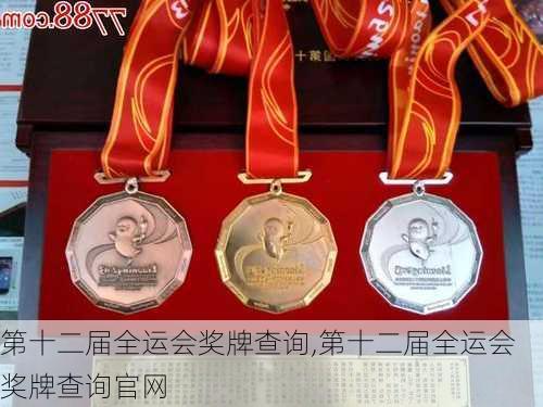 第十二届全运会奖牌查询,第十二届全运会奖牌查询官网