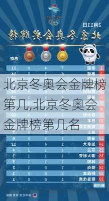 北京冬奥会金牌榜第几,北京冬奥会金牌榜第几名