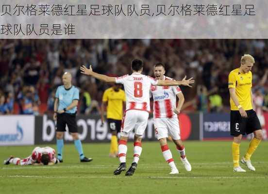 贝尔格莱德红星足球队队员,贝尔格莱德红星足球队队员是谁