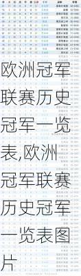 欧洲冠军联赛历史冠军一览表,欧洲冠军联赛历史冠军一览表图片