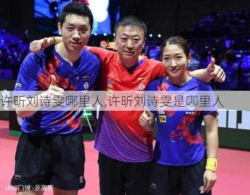 许昕刘诗雯哪里人,许昕刘诗雯是哪里人