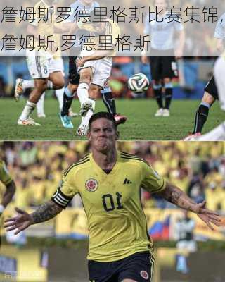 詹姆斯罗德里格斯比赛集锦,詹姆斯,罗德里格斯