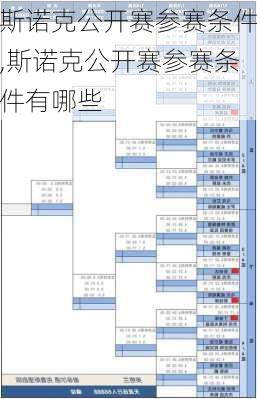 斯诺克公开赛参赛条件,斯诺克公开赛参赛条件有哪些
