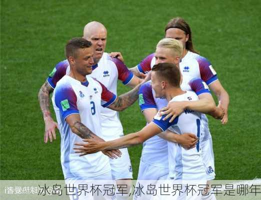 冰岛世界杯冠军,冰岛世界杯冠军是哪年