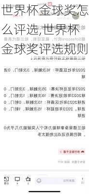 世界杯金球奖怎么评选,世界杯金球奖评选规则