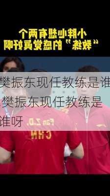 樊振东现任教练是谁,樊振东现任教练是谁呀