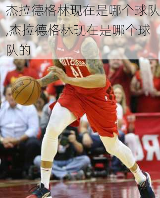 杰拉德格林现在是哪个球队,杰拉德格林现在是哪个球队的