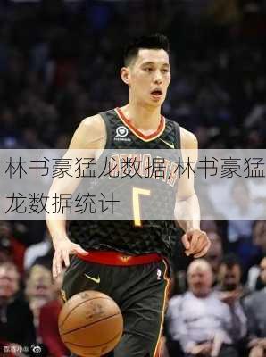 林书豪猛龙数据,林书豪猛龙数据统计