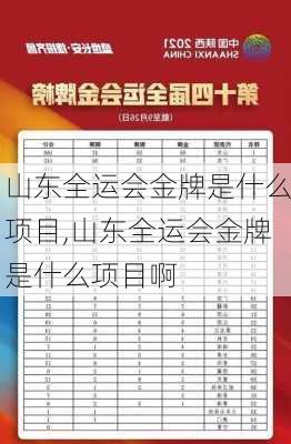 山东全运会金牌是什么项目,山东全运会金牌是什么项目啊