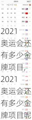 2021奥运会还有多少金牌项目,2021奥运会还有多少金牌项目呢