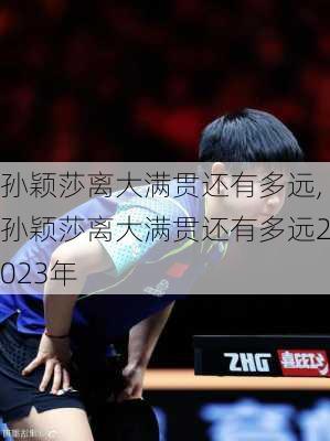 孙颖莎离大满贯还有多远,孙颖莎离大满贯还有多远2023年