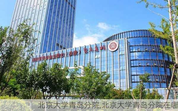 北京大学青岛分院,北京大学青岛分院在哪
