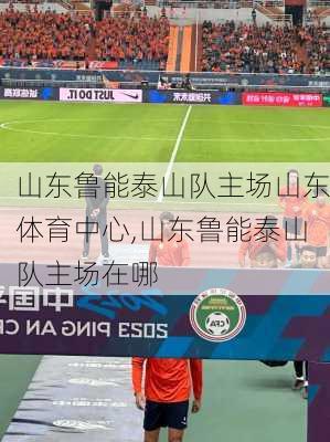 山东鲁能泰山队主场山东体育中心,山东鲁能泰山队主场在哪