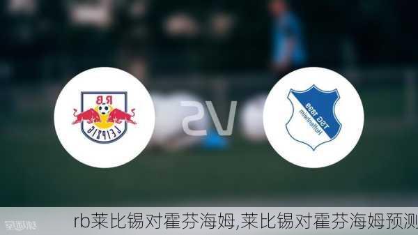 rb莱比锡对霍芬海姆,莱比锡对霍芬海姆预测