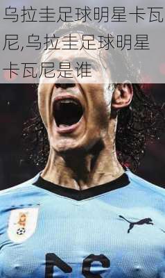 乌拉圭足球明星卡瓦尼,乌拉圭足球明星卡瓦尼是谁