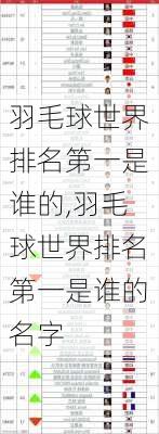 羽毛球世界排名第一是谁的,羽毛球世界排名第一是谁的名字