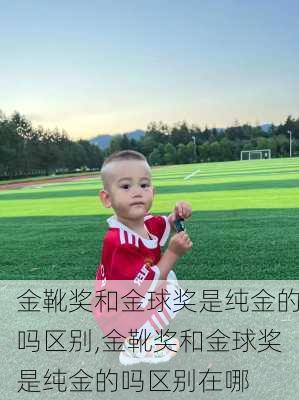 金靴奖和金球奖是纯金的吗区别,金靴奖和金球奖是纯金的吗区别在哪