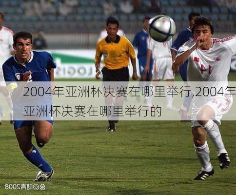 2004年亚洲杯决赛在哪里举行,2004年亚洲杯决赛在哪里举行的