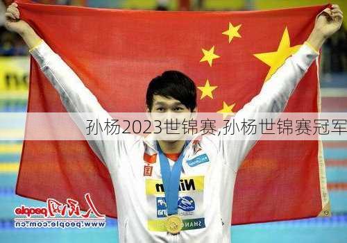 孙杨2023世锦赛,孙杨世锦赛冠军