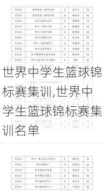 世界中学生篮球锦标赛集训,世界中学生篮球锦标赛集训名单