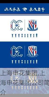 上海申花集团,上海申花集团公司简介