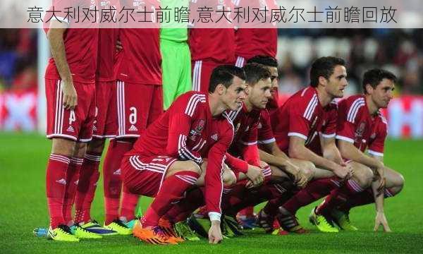 意大利对威尔士前瞻,意大利对威尔士前瞻回放