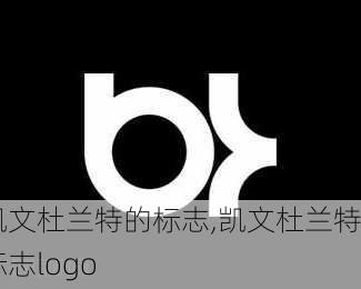 凯文杜兰特的标志,凯文杜兰特标志logo