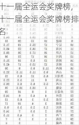 十一届全运会奖牌榜,十一届全运会奖牌榜排名