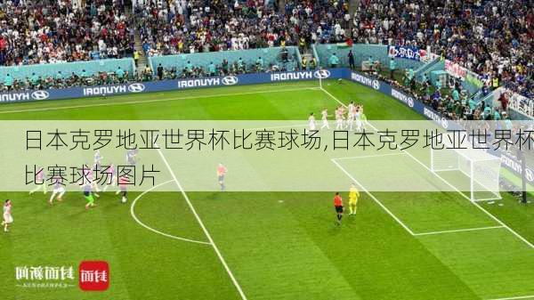 日本克罗地亚世界杯比赛球场,日本克罗地亚世界杯比赛球场图片