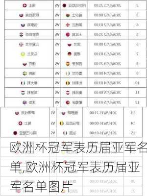 欧洲杯冠军表历届亚军名单,欧洲杯冠军表历届亚军名单图片