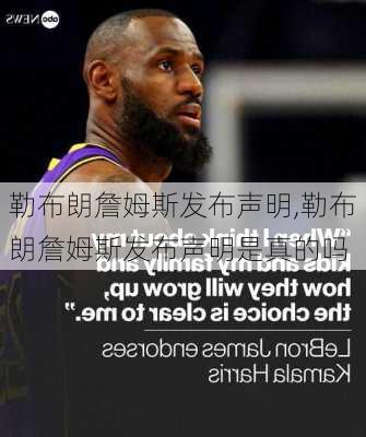 勒布朗詹姆斯发布声明,勒布朗詹姆斯发布声明是真的吗