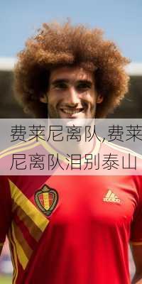 费莱尼离队,费莱尼离队泪别泰山