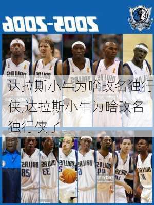 达拉斯小牛为啥改名独行侠,达拉斯小牛为啥改名独行侠了