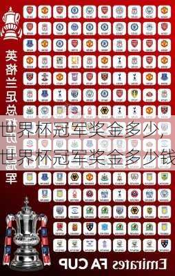 世界杯冠军奖金多少,世界杯冠军奖金多少钱