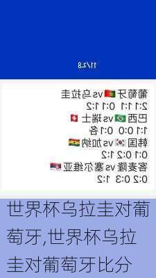 世界杯乌拉圭对葡萄牙,世界杯乌拉圭对葡萄牙比分