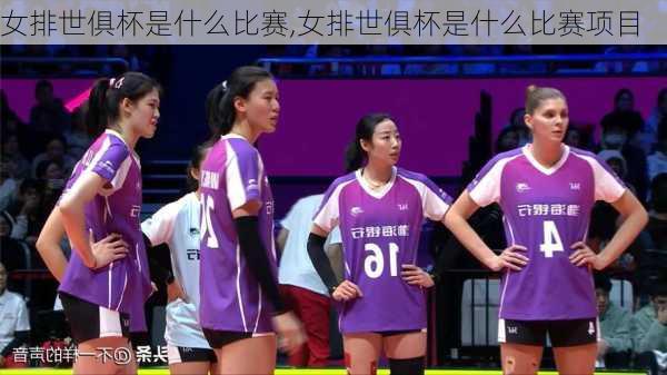 女排世俱杯是什么比赛,女排世俱杯是什么比赛项目