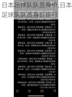 日本足球队队员身价,日本足球队队员身价排行