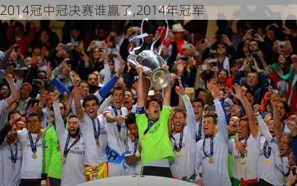2014冠中冠决赛谁赢了,2014年冠军
